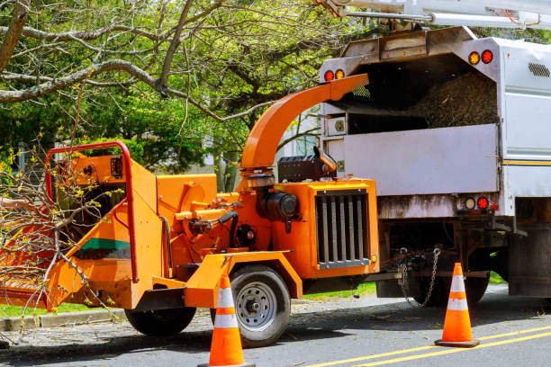 Gillette, NJ Tree Removal and Landscaping Services Company